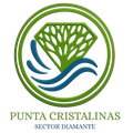 Logotipo Puntas Cristalinas